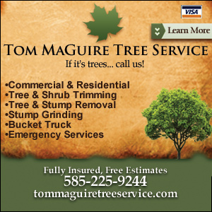 Call Tom MaGuire Tree Service Today!